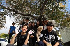 19ayc_2d_055